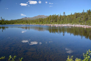 Wildest Dreams Sommer Urlaub in Schweden