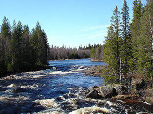 Wildest Dreams Sommerurlaub in Schweden