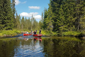 Wildest Dreams Sommer Urlaub in Schweden