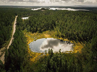 luftaufnahmewaldsee