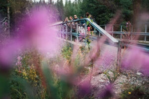 Mountainbike Tour in Schweden