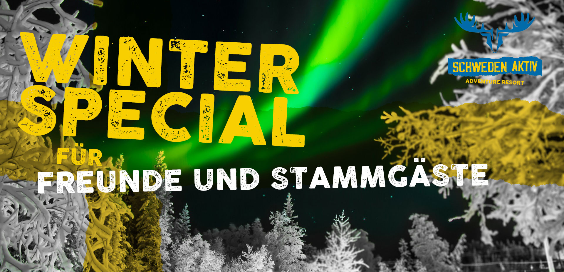 Header Winterspecial 2024